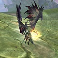 Aion0081.jpg