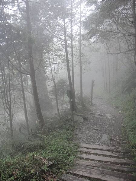 霧氣上來了