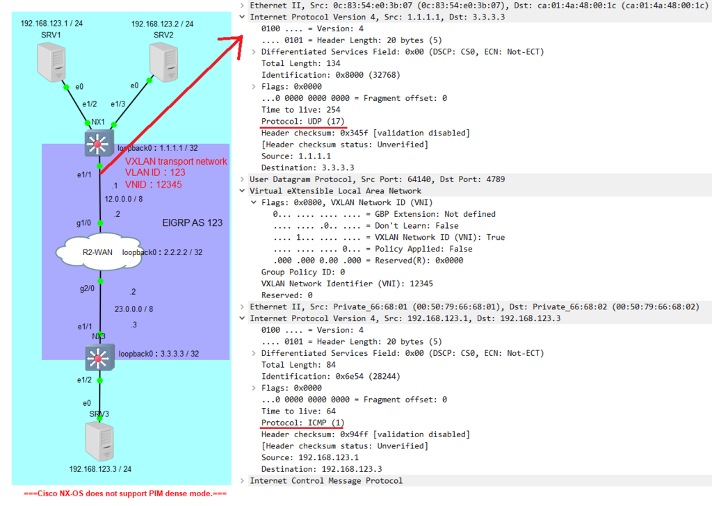 VXLAN pkt.png