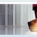 banner 7