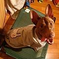 DSC03526.JPG