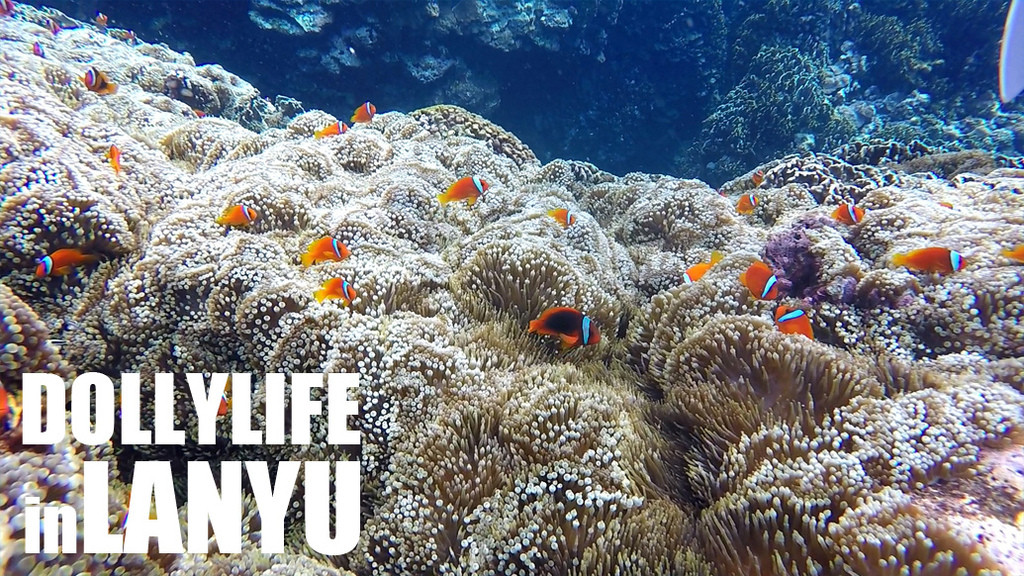 0628_09.jpg 0628_09.jpg