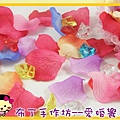 玫瑰花瓣01