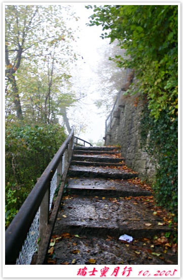 前往萊因瀑布(Rhein Fall)的階梯