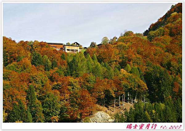 沿路風景