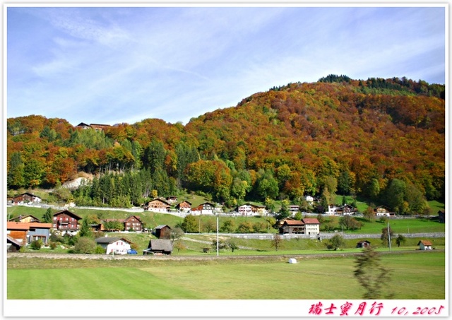 沿路風景