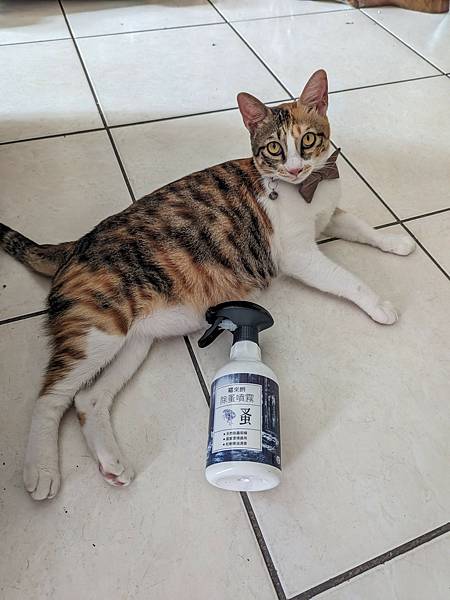 LINE_ALBUM_2023720_230720_118 LINE_ALBUM_2023720_230720_118