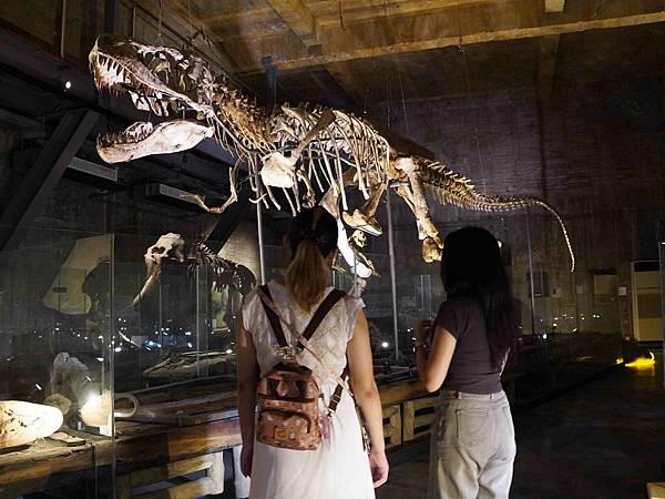 【宜蘭親子景點】Robert Y廢墟暴龍館。全球第二完整的恐 【宜蘭親子景點】Robert Y廢墟暴龍館。全球第二完整的恐