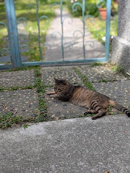 【花蓮早午餐】時光1939。像是進入宮崎駿的天空之城一樣 讓 【花蓮早午餐】時光1939。像是進入宮崎駿的天空之城一樣 讓