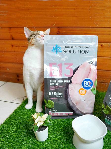 【益生菌貓糧開箱】耐吉斯Energy系列。清貓砂時終於不用再 【益生菌貓糧開箱】耐吉斯Energy系列。清貓砂時終於不用再