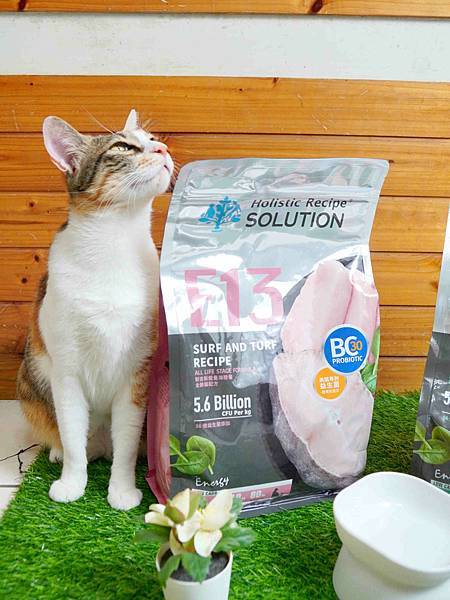 【益生菌貓糧開箱】耐吉斯Energy系列。清貓砂時終於不用再 【益生菌貓糧開箱】耐吉斯Energy系列。清貓砂時終於不用再