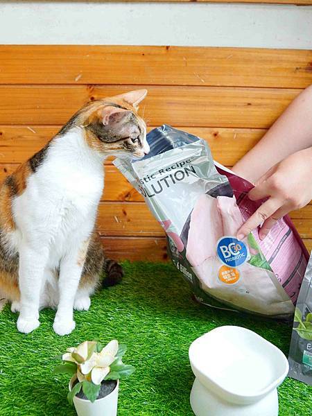 【益生菌貓糧開箱】耐吉斯Energy系列。清貓砂時終於不用再 【益生菌貓糧開箱】耐吉斯Energy系列。清貓砂時終於不用再