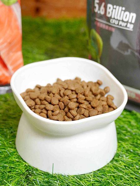 【益生菌貓糧開箱】耐吉斯Energy系列。清貓砂時終於不用再 【益生菌貓糧開箱】耐吉斯Energy系列。清貓砂時終於不用再