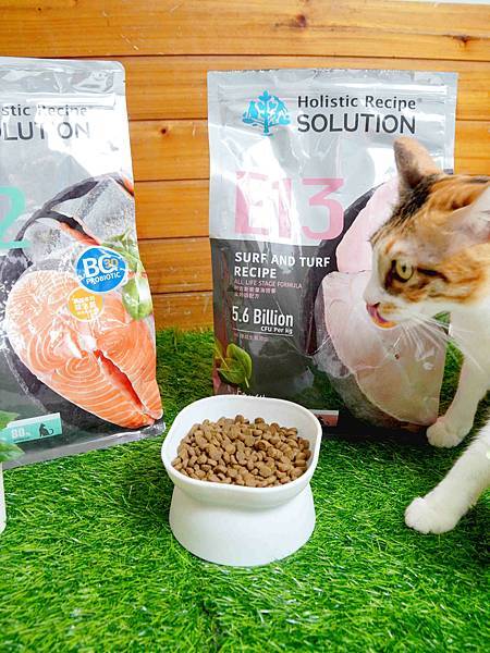 【益生菌貓糧開箱】耐吉斯Energy系列。清貓砂時終於不用再 【益生菌貓糧開箱】耐吉斯Energy系列。清貓砂時終於不用再