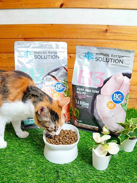 【益生菌貓糧開箱】耐吉斯Energy系列。清貓砂時終於不用再 【益生菌貓糧開箱】耐吉斯Energy系列。清貓砂時終於不用再