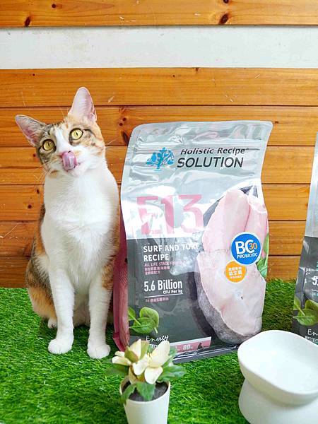 【益生菌貓糧開箱】耐吉斯Energy系列。清貓砂時終於不用再 【益生菌貓糧開箱】耐吉斯Energy系列。清貓砂時終於不用再