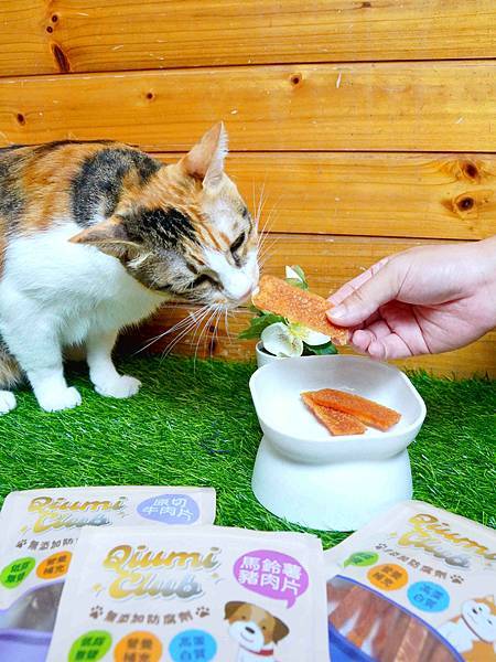 讓傲嬌的貓咪開始對你撒嬌 【JC生活家寵物零食】日常獎勵必 讓傲嬌的貓咪開始對你撒嬌 【JC生活家寵物零食】日常獎勵必