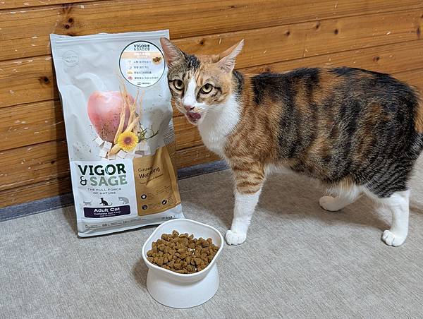 【寵糧推薦】靈萃 Vigor&Sage 讓挑嘴貓愛不釋口的 【寵糧推薦】靈萃 Vigor&Sage 讓挑嘴貓愛不釋口的