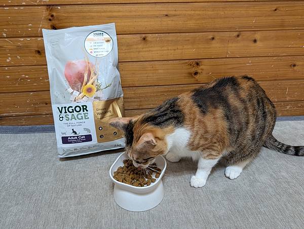 【寵糧推薦】靈萃 Vigor&Sage 讓挑嘴貓愛不釋口的 【寵糧推薦】靈萃 Vigor&Sage 讓挑嘴貓愛不釋口的