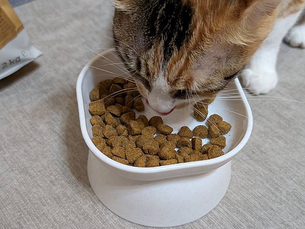 【寵糧推薦】靈萃 Vigor&Sage 讓挑嘴貓愛不釋口的 【寵糧推薦】靈萃 Vigor&Sage 讓挑嘴貓愛不釋口的