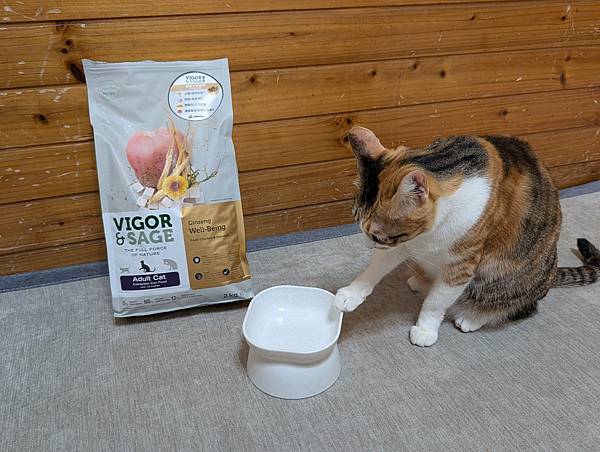 【寵糧推薦】靈萃 Vigor&Sage 讓挑嘴貓愛不釋口的 【寵糧推薦】靈萃 Vigor&Sage 讓挑嘴貓愛不釋口的