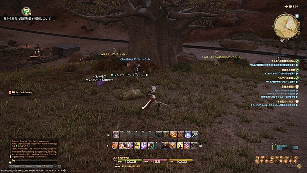 ffxiv_08292013_085413.png