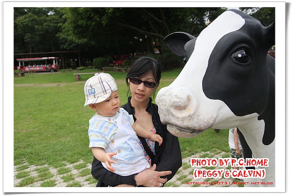IMG_4604(001).jpg IMG_4604(001).jpg