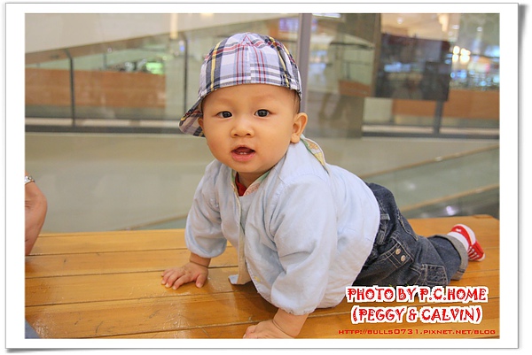 IMG_4305(001).jpg IMG_4305(001).jpg