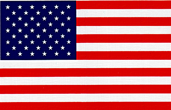 American%20Flag.gif