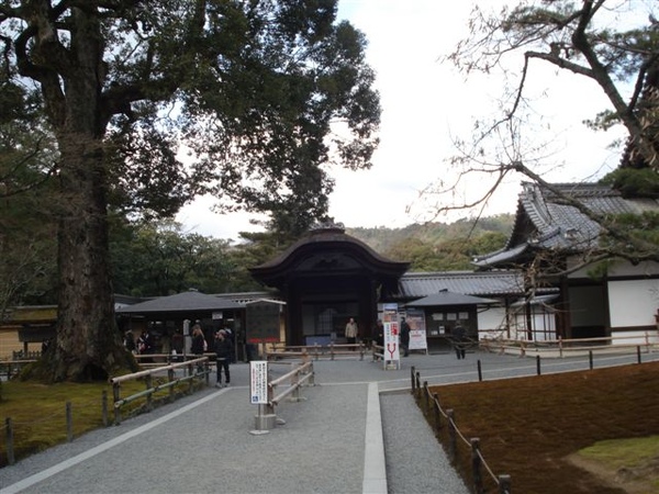 DSC00452.JPG