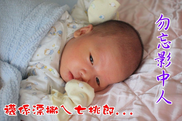 IMG_7978.jpg IMG_7978.jpg