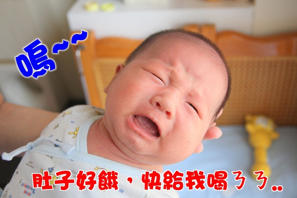 IMG_8402.JPG IMG_8402.JPG