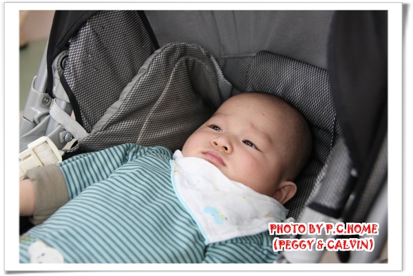 IMG_1263(001)(001).jpg