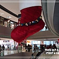 DSC04934(001).jpg