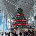 DSC04942(001).jpg