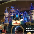 DSC04951(001).jpg