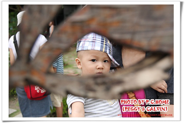 IMG_5442(001).jpg IMG_5442(001).jpg