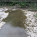 IMG_8982(001).jpg