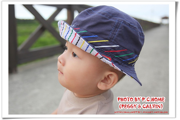 IMG_6663(001).jpg IMG_6663(001).jpg