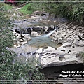 IMG_9024(001).jpg