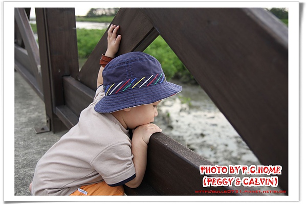 IMG_6541(001).jpg IMG_6541(001).jpg