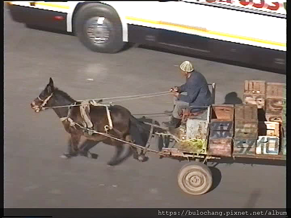 1995年  摩洛哥 Morocco馬拉喀什 Marrake