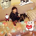 2013-12-13-23-08-12_deco.jpg