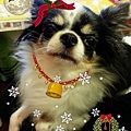 2013-12-18-01-24-52_deco.jpg