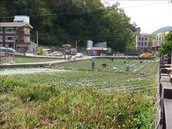 酒莊草莓園