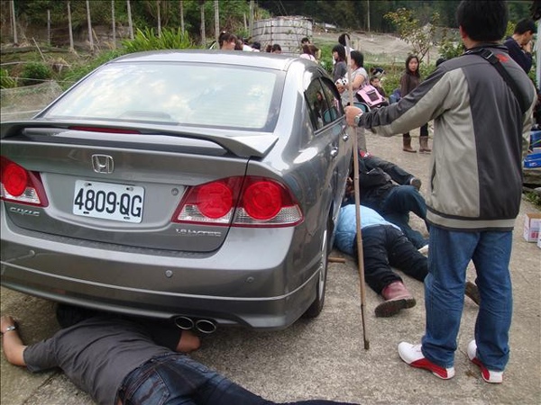 地瓜跑到車下面去了