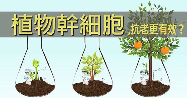 抗老新寵 植物幹細胞 純合成美妝廠all By Chemistry 痞客邦