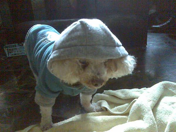 我不過想睡覺而已