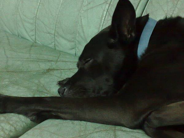 你會懂得什麼較寂寞嗎?