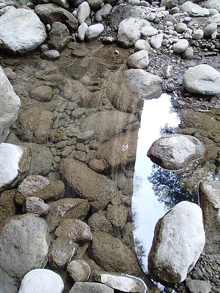 水真的超乾淨呀~裏面還有小魚喔